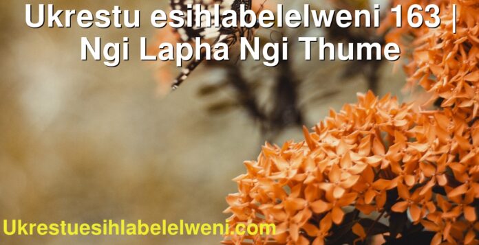 Ukrestu esihlabelelweni 163 | Ngi Lapha Ngi Thume