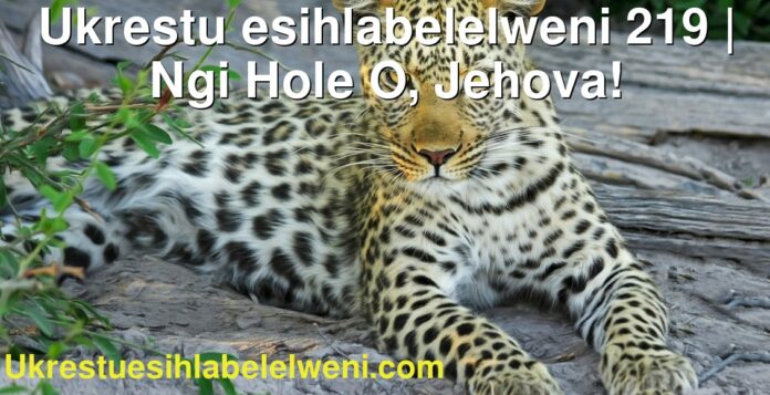 Ukrestu esihlabelelweni 219 | Ngi Hole O, Jehova!