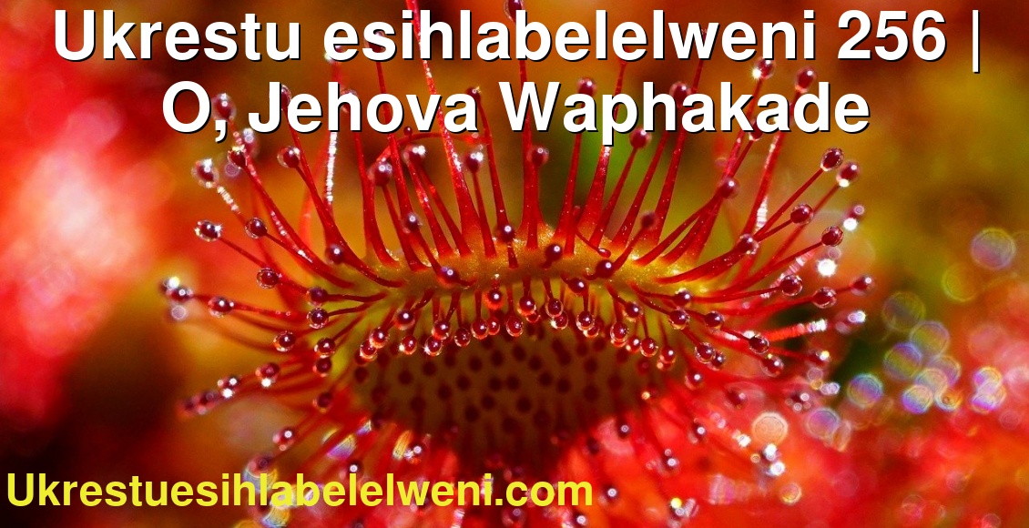 Ukrestu esihlabelelweni 256 | O, Jehova Waphakade