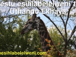 Ukrestu esihlabelelweni 194 | Uthando Ekhaya